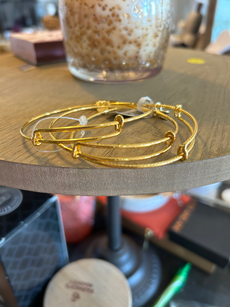 Alex and ani swan 2025 bracelet