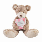 Mud Pie Big Sister Bear with Book 10190226