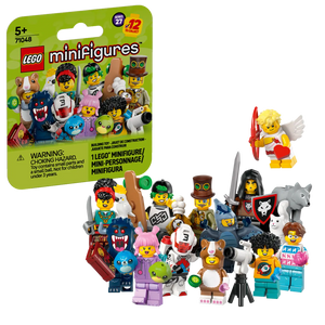 LEGO Minifigures Series 27 71048