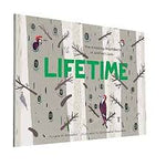 Lifetime: The Amazing Numbers in Animal Lives Book
