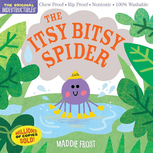 Indestructibles Books for Baby