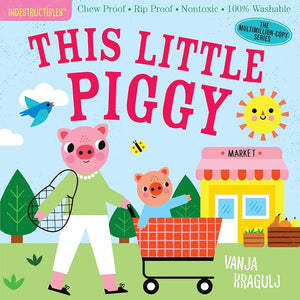 Indestructibles Books for Baby