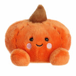 Palm Pals Paisley Pumpkin 13566