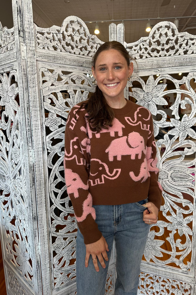 Debut Pink & Rust Elephant Sweater W9818-B