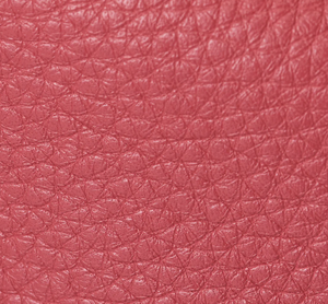 Hammitt 110 North Wallet - Rouge Pink