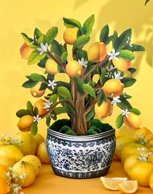 Fresh Cut Paper Pop-Up Flower Bouquet Lemon Blossom Tree