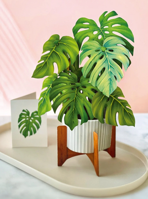 Fresh Cut Paper Pop-Up Flower Bouquet Monstera