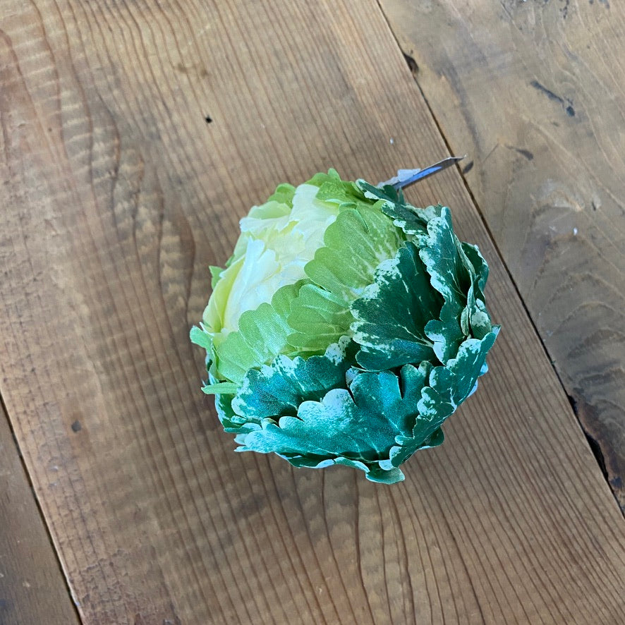 Small Green & White Cabbage Head