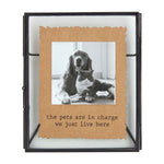 Mud Pie Pets are in Charge Glass Frame 46900483P
