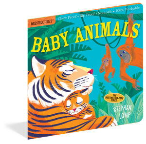 Indestructibles Books for Baby