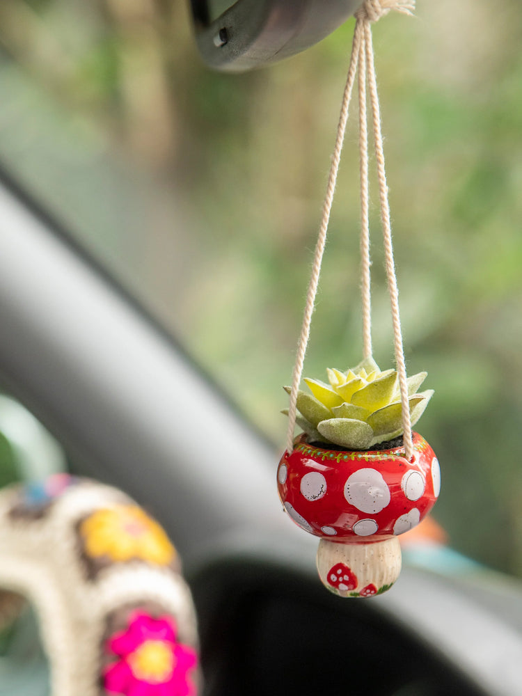 succulent mushrooms CCH00060 Mini Hanging Succulent Mushroom – Urban Farmhouse