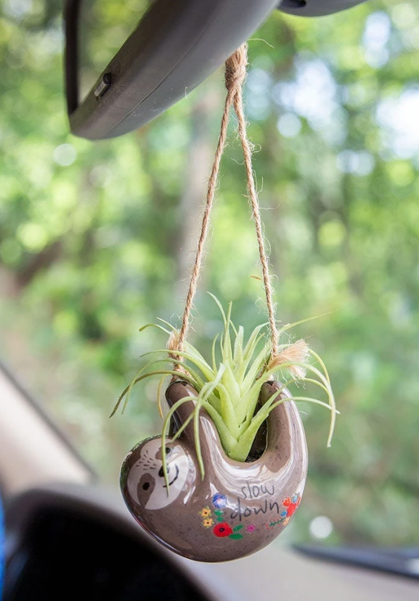 faux hanging succulents Natural Life Mini Hanging Faux Succulents – Urban Farmhouse