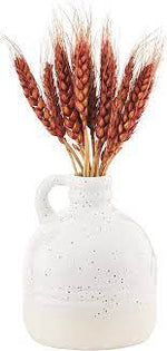 Mud Pie Red Preserved Wheat in Vase *PICK UP ONLY*