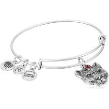 
            
                Load image into Gallery viewer, Alex and Ani Wild Heart with Stone
            
        