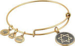 Alex and Ani Star of David