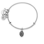 Alex and Ani Pinecone