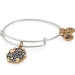 Alex and Ani Bat Mitzvah