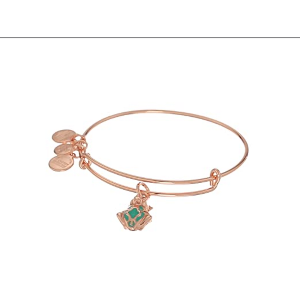 Alex and ani frog 2025 prince bracelet